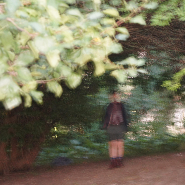 Ameliorate album cover